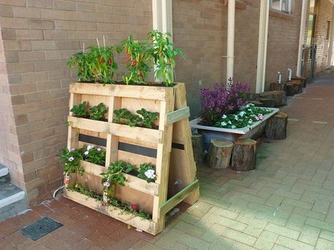 World’s Best 111 Pallet Garden Ideas to Collect Garden Pallet Decorations, Vertical Pallet Garden, Pallet Planter Box, Wood Pallet Planters, Taman Diy, Palette Garden, Pallet Planter, Pallet Decor, Pallet Garden