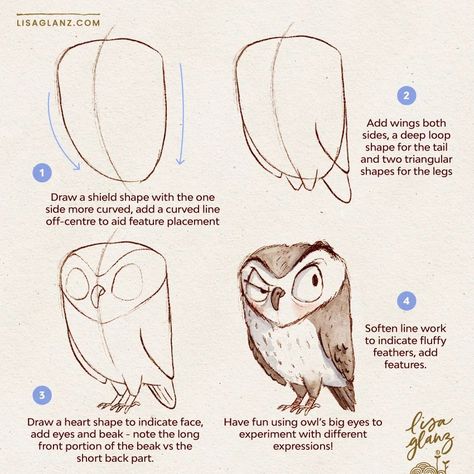 How to draw an owl 🦉 For this one I thought a three-quarter view would be more interesting than straight on, so be sure to draw your curved centre guide to keep you on track with the placement of features and limbs 😀 . Brushes used: AquaReal 2 Shadow brushes and Lisa’s Pencil / Canvas: Let’s Draw. #howtodraw #learntodraw #easydrawingtutorial #howtodrawcute #howtodrawanimals #howtodrawbirds #procreatedrawingtutorial How To Draw A Cornucopia Step By Step, How To Draw An Acorn, Owl Cute Drawing, How To Draw An Owl, How To Draw Step By Step, How To Draw, Owl Character Design, Drawing Ideas Animals, Draw Owl