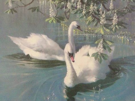 ❈ on Twitter: "harmony of spring done by Vernon Ward, 1958… " Arte Indie, Rennaissance Art, Ethereal Aesthetic, Royal Aesthetic, Angel Aesthetic, White Swan, Arte Sketchbook, Hozier, Princess Aesthetic