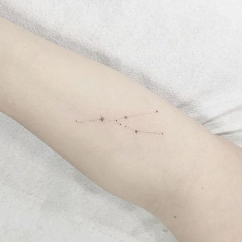 24 Zodiac Sign Tattoos You Need Based On Your Sign - Society19 Star Constellation Tattoo, Leo Constellation Tattoo, Taurus Constellation Tattoo, Aries Constellation Tattoo, Taurus Constellation, Taurus Tattoos, Shape Tattoo, Gemini Tattoo, Leo Tattoos