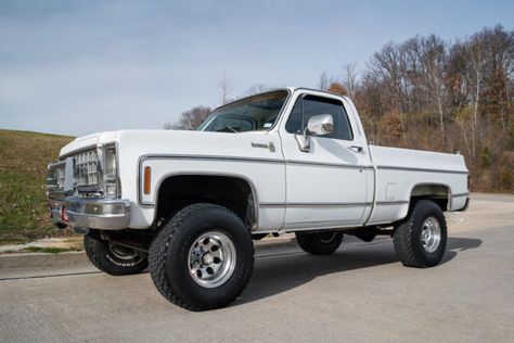 1979 Chevy Truck, Blazer K5, Pickup Trucks For Sale, Single Cab Trucks, Chevrolet Truck, Mud Trucks, Lifted Chevy Trucks, Lifted Chevy, Classic Chevrolet