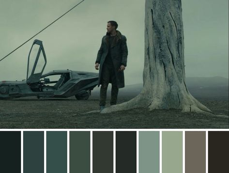 Films Color Palette, Cinematic Colour Palette, Movie Palette Color, Dystopian Color Palette, Military Color Palette, Cinematic Pallet, Cinematography Color Palette, Movie Color Grading, Cinema Color Palette