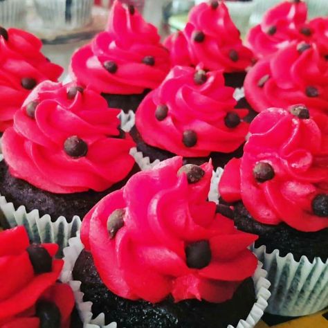 Ladybug Cupcakes Ideas, Ladybug Food, Ladybug Birthday Theme, Birthday Ladybug, Ladybug Cupcakes, Dessert Decor, Ladybug Cake, Ladybug Birthday, Beautiful Birthday Cakes