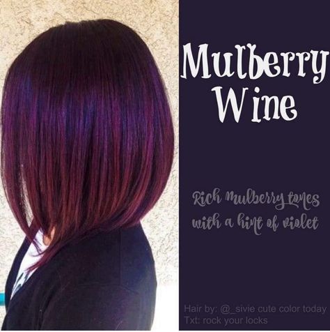 Mulberry Wine Hair Color Mulberry Wine, Wine Hair Color, Wine Hair, Violet Hair, Burgundy Hair, Haircut And Color, Hair Color And Cut, Great Hair, Hair Today