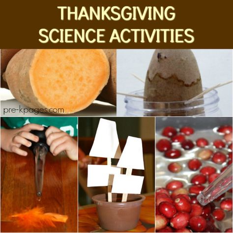 Thanksgiving Science Activities, Thanksgiving Science, Science Activities For Preschoolers, Preschoolers Activities, Thanksgiving Lesson Plans, Thanksgiving Stem, Preschool Food, Thanksgiving Activities Preschool, Thanksgiving Crafts For Toddlers