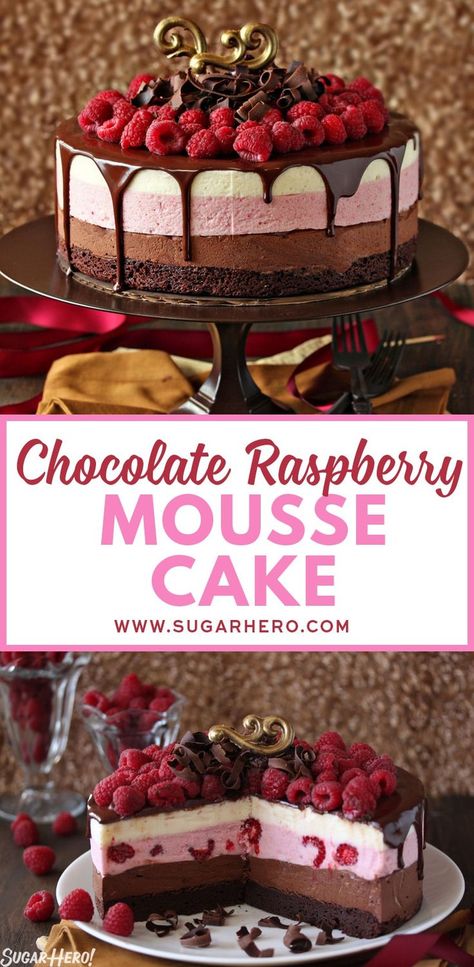 Chocolate Raspberry Mousse, Chocolate Raspberry Mousse Cake, Raspberry Mousse Cake, Raspberry Mousse, Fudgy Brownie, Chocolate Curls, Raspberry Cake, Mousse Cake, Chocolate Raspberry