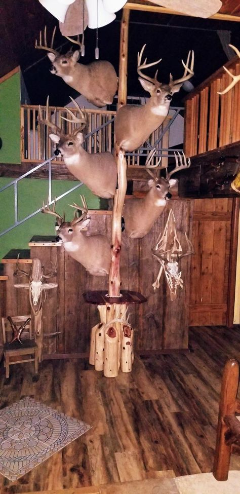 A new way to hang your deer heads Deer Heads, Deer Mounts, Hunting Decor, Barn Style House Plans, Barn Style House, Deer Head, Barn Style, Taxidermy, Style House