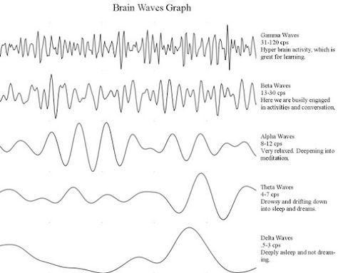 image not displayed What Is Intelligence, Jedi Powers, Brainwave Entrainment, Binaural Beats, Healing Frequencies, Brain Activities, Brain Waves, Mindfulness Meditation, Neuroscience