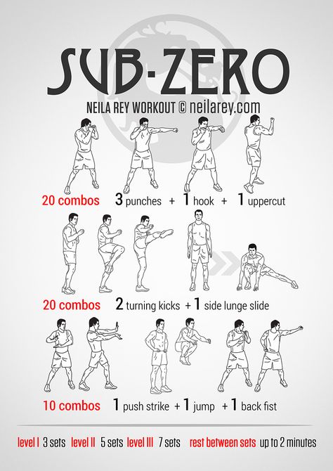 Sub-Zero Workout Villain Workout, Assassins Workout, Commando Training, Neila Rey Workout, Neila Rey, Hero Workouts, Fighter Workout, Boxing Training Workout, Supraviețuire Camping