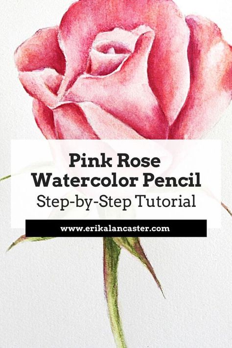 Step-by-step watercolor pencil realistic rose tutorial for beginners. Watercolour Pencil Art Tutorials, Pencil Art Flowers, Watercolor Pencil Art Ideas, Watercolor Pencil Art For Beginners, Watercolor Pencil Drawings, Watercolor Pencil Tutorial, Watercolor Step By Step Tutorials, Watercolour Pencil Art, Pencil Art For Beginners