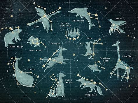 Constellation map designed by YetiCrab. Connect with them on Dribbble; the global community for designers and creative professionals. Zodiac Constellation Tattoo, Constellation Drawing, Constellation Chart, Astronomy Constellations, Constellation Art, Constellation Tattoo, Hidden Truths, Moon Reading, Constellation Map