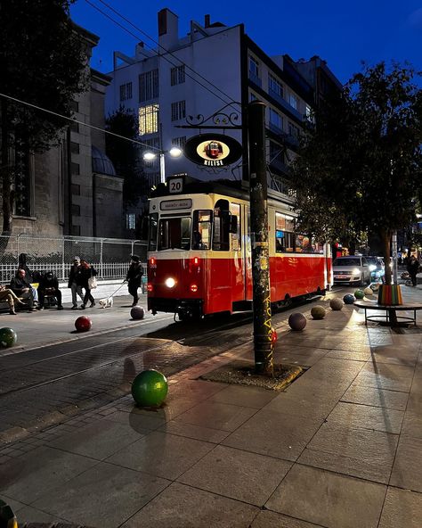 #dumptrump #kadikoy #istanbul #photography #night #explore #fyp #catlover Kadikoy Istanbul, Istanbul Photography, Photography Night, Istanbul, Cat Lovers, Photography