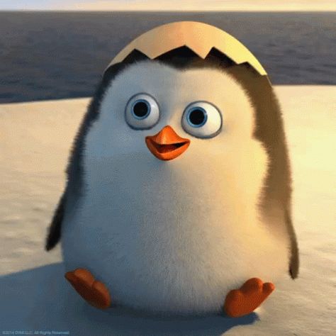 Hello Penguin GIF - Hello Penguin Hi - Discover & Share GIFs Gif