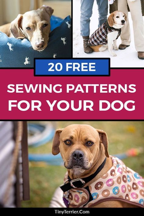 Sewing Projects For Dogs, Dog Vest Pattern, Dog Hoodie Pattern, Dogs Crafts, Dog Jacket Patterns, Free Sewing Projects, Pet Clothes Patterns, Dog Harness Pattern, Dog Clothes Patterns Sewing