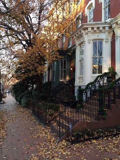 Thecolonial: Georgetown, Washington DC                                                                                                                                                                                 More Fall Feels, Autumn Beauty, Best Seasons, Autumn Cozy, Autumn Aesthetic, Autumn Inspiration, Autumn Day, Time Of The Year, Autumn Leaves