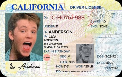 Passport Online, Driver License, Id Card Template, Driving License, Green Cards, Birth Certificate, Famous Books, Linnet, Card Template