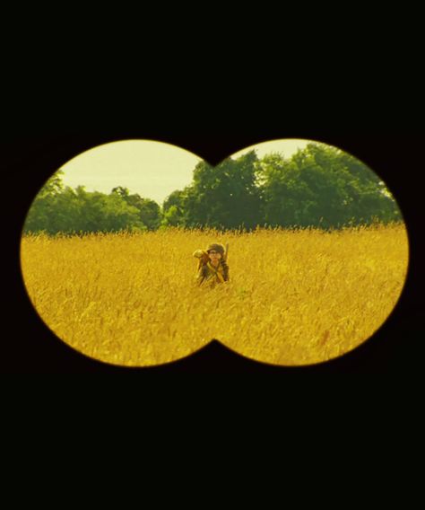 Moonrise Kingdom Moonrise Kingdom Aesthetic, Wes Anderson Aesthetic, Wes Anderson Movies, Wes Anderson Films, The Royal Tenenbaums, Dark Fairytale, Moonrise Kingdom, Life Aquatic, Wes Anderson