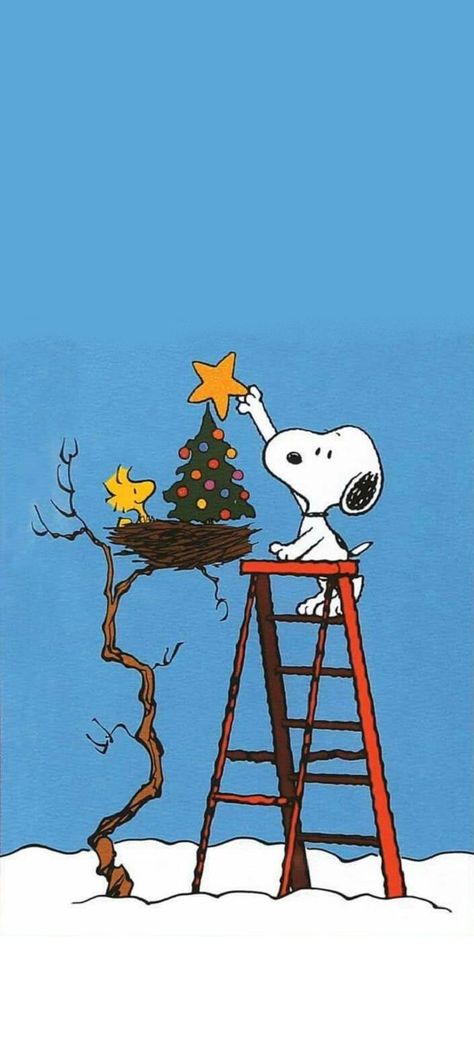 Charlie Brown Wallpaper, Peanuts Wallpaper, Woodstock Snoopy, Snoopy Comics, Christmas Dreaming, Snoopy Images, Snoopy Wallpaper, Snoopy Pictures, Peanuts Christmas