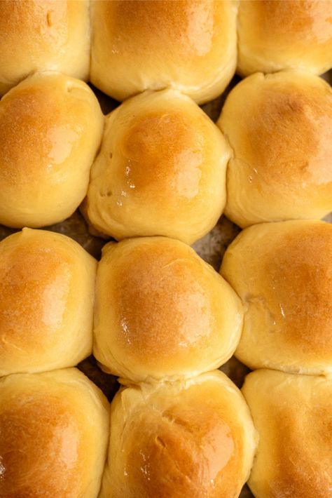 Parker House Rolls Cherry Bing Bars, Bing Bars, Parkerhouse Rolls, Cherry Pie Bars Recipe, Easy Homemade Rolls, Parker House Rolls Recipe, Homemade Ranch Dip, Cherry Pie Bars, Traditional Thanksgiving Recipes