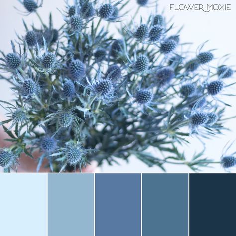 Shades Of Blue Spring Wedding, Thistle Colour Palette, Dusty Blue Palette Wedding, Dusty Blue Wedding Colour Palettes, Steel Blue Flowers, Yellow Dusty Blue Wedding, Dusty Blue And Steel Blue Wedding, Blue Tones Wedding, Steel Blue Palette