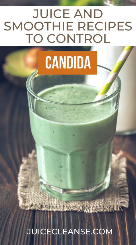 smoothie to fight candida | candida killer smoothies | juicing for candida | candida friendly green smoothie Anti Inflamatory Smoothie, Candida Diet Food List, Healthy Gut Recipes, Juice Cleanses, Candida Recipes, Candida Diet Recipes, Candida Cleanse, Sunday Routine, Best Probiotic