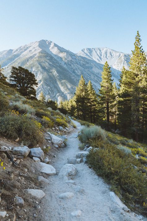 Enjoying the temporary shade on this hike // Instagram/ Website Amazing Landscapes, Fourth Wing, Instagram Website, National Photography, Amazing Pics, Geocaching, Travel Info, Future Travel, Pretty Places