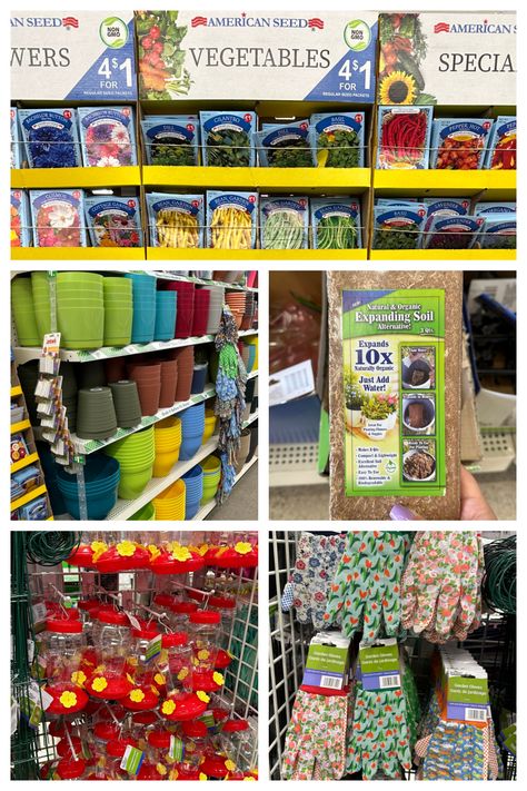 Dollar Tree Garden Supplies You Need For Your Yard ASAP Dollar Tree Garden Hacks, Dollar Tree Gardening, Dollar Tree Garden Ideas, Dollar Tree Garden, Dollar Tree Baskets, Bean Garden, Tree Garden, Pots And Planters, Lavender Garden