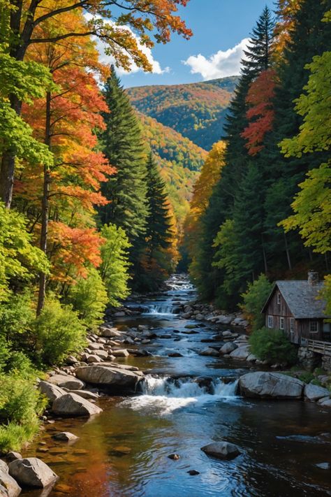 Unveiling Waterbury VT: A Tapestry of Charm and Adventure 🏞️ New England Fall Aesthetic, Waterbury Vermont, New England Aesthetic, Nature Trails, Burlington Vt, Stunning Nature, New England Travel, New England Fall, Good Weekend