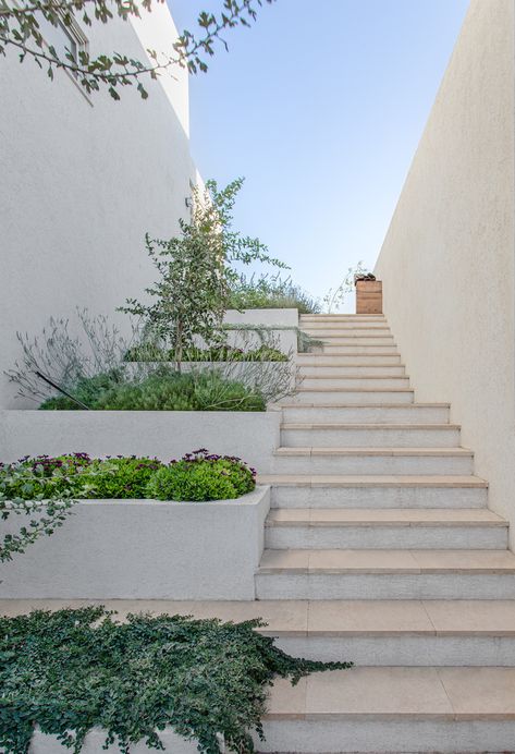 Gallery of Goldwasser House / Architextit-Einat Erez-Kobiler - 23 Exterior Photography, Staircase Outdoor, External Staircase, Entry Stairs, Exterior Stairs, Stairs Architecture, Stair Landing, Architecture Images, Outdoor Stairs