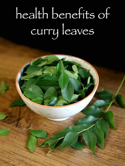 top 7 health benefits of curry leaves | diy home remedies with curry leaves with photos. curry leaves are also called as sweet neem leaf. they are aromatic fresh herb grown on curry tree. curry leaves has so many uses from culinary to medicinal. Curry Leaves Benefits, Curry Leaves Plant, Curry Tree, Benefits Of Curry, Mint Benefits, Curry Leaf Plant, Burning Bay Leaves, Leaf Health, Dream Herbs