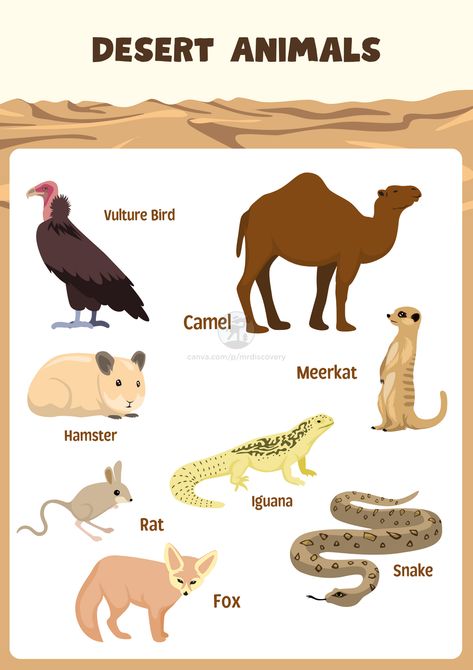 Introduce kids to desert wildlife with this simple brown-themed desert animals poster! Featuring clean and minimalistic illustrations of animals like camels, lizards, and meerkats, this educational poster is perfect for classrooms, nurseries, or playrooms. It adds a learning-focused touch to any space while teaching kids about desert animals. 

#DesertAnimals #KidsRoomDecor #EducationalPoster #AnimalPoster #PrintableForKids Desert Animals Printable, Poster Brown, Desert Wildlife, Rat Snake, Animals Poster, Desert Animals, Desert Living, Arabic Lessons, Simple Template