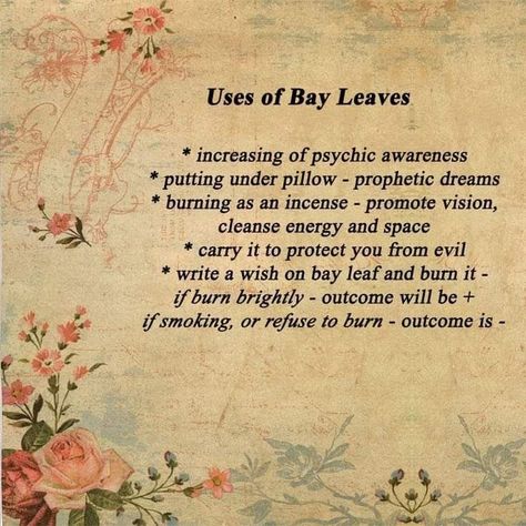 Bay Leaves Witchcraft, Magick Herbs, Bay Laurel Tree, Burning Bay Leaves, Witch Tips, Magick Symbols, Witchcraft Spells, Green Witchcraft, Witchcraft Books