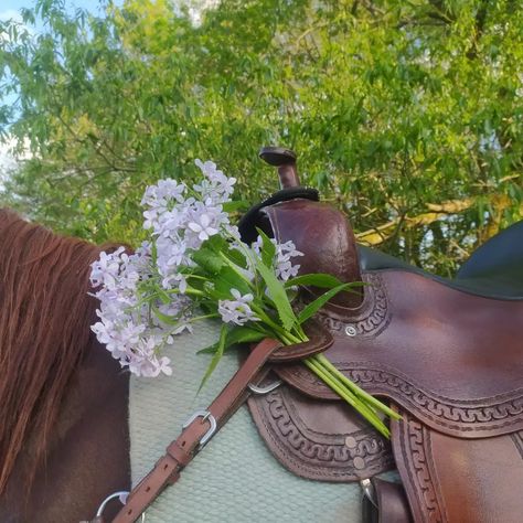 Animal Fairy Aesthetic, Earthy Nature Aesthetic, Cottage Cowgirl Aesthetic, Flower Fairy Aesthetic, Saddle Aesthetic, Cute Fairy Aesthetic, Fall Aesthetic Brown, Creatures Aesthetic, Horse And Flowers