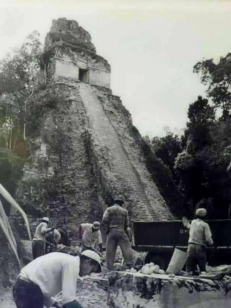 Fotos antiguas de Tikal en Guatemala Maya Architecture, Tikal Guatemala, Guatemalan Art, Mayan Architecture, Sacred Fire, The Seven Sisters, Ancient Mexico, Man And Nature, Maya Ruins