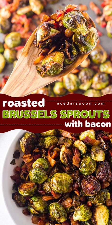 Looking for a savory side dish for your Thanksgiving table? This Roasted Brussels Sprouts with Bacon recipe is just what you're looking for! With a perfectly crisp smokey bacon combined with roasted Brussels sprouts, this dish is bursting with flavor! Try this now! Brussel Sprouts Thanksgiving Sides, Brussel Sprouts With Bacon In Oven, Roasted Brussel Sprout Recipes With Bacon, Brussel Sprout Recipes With Bacon And Parmesan, Shredded Brussel Sprouts With Bacon, Brussels Sprout Bacon Recipe, Brussel Sprout Recipes Goat Cheese, Savory Brussel Sprout Recipes, Best Brussels Sprouts Recipe