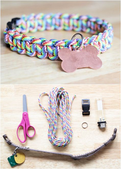 Pet Collars Diy, Dog Collar Pattern, Paracord Dog Collar, Paracord Projects Diy, Paracord Dog Leash, Dogs Diy Projects, Diy Dog Collar, Diy Dog Toys, Paracord Dog Collars