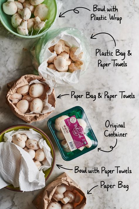 How to Store Mushrooms: We Tested 6 Methods to Find the Best Way | Kitchn Storing Mushrooms, Freezing Mushrooms, How To Store Mushrooms, Meatless Monday Dinner, Prevent Food Waste, Mushroom Dish, Canned Mushrooms, Vegetable Storage, One Pot Pasta