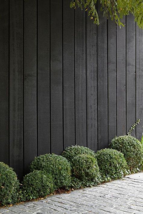 a black fence with some green shrubs are a cool combo suitable for modern and minimalist gardens or backyards Simple Front Garden Ideas, Charcoal Fence, Black And White Fence, Black Fence Ideas, Black Fence Paint, Black Fences, Fencing Aesthetic, Holistic Aesthetic, Fence Landscaping Ideas