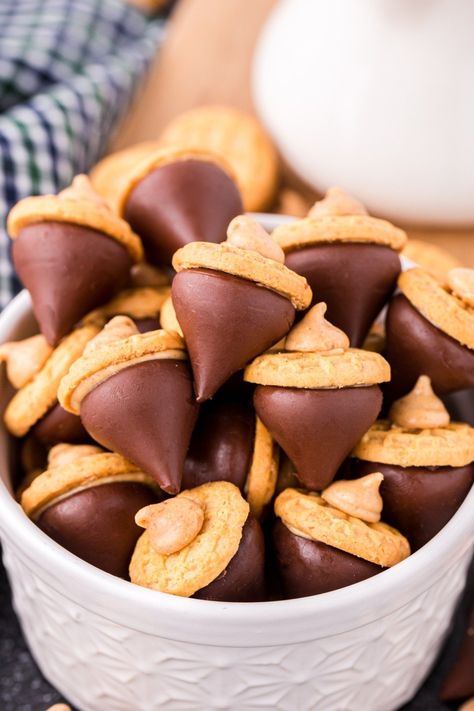 If you like peanut butter kisses, you’ll love these Easy Acorn Kiss Cookies. It’s the same cookie you know and love, dressed up for fall. Nutter Butter Acorn Cookies, Nutter Butter Acorns, Acorn Cookies, Peanut Butter Kiss, Crafty Morning, Kiss Cookies, Thanksgiving Treats, Butterscotch Chips, Kisses Chocolate