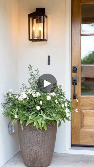 148K views · 5.3K reactions | Here's a tip on front door decor!✨🌳🧡comment "DECOR" and I'll send you a DM💌🌸I'm sharing my tips on choosing planters and faux trees for the front door space! #frontdoordecor #outdoordesign #planters #homestyling | ✨Kate Fuller✨ | JVKE · clouds Kate Fuller, Front Door Plants, Faux Trees, Front Verandah, Front Porch Design, Faux Tree, Front Porches, Front Porch Decorating, Porch Design