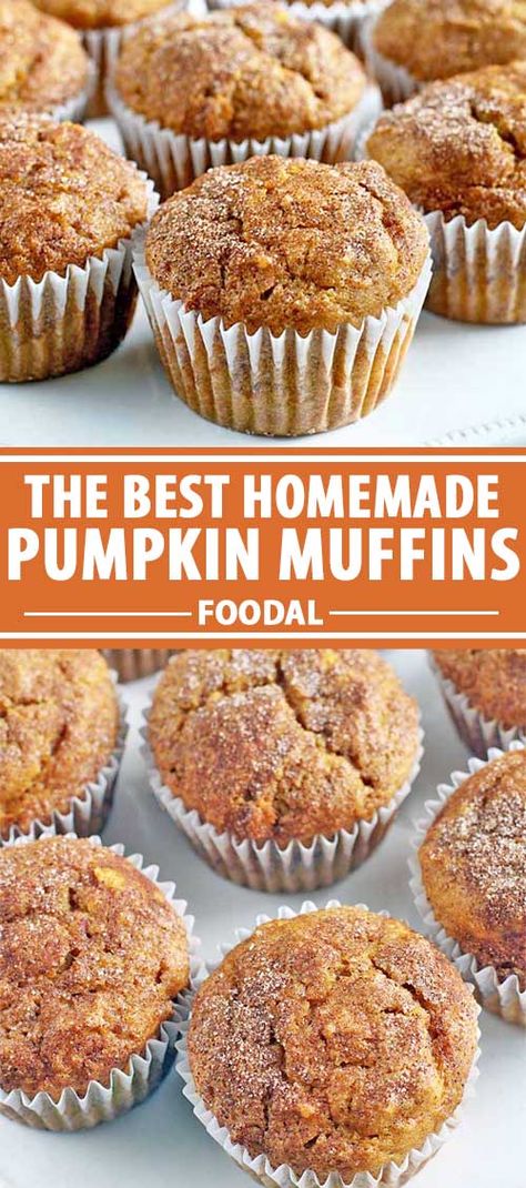 With sugar, spice, and everything nice, these perfect pumpkin muffins are not overpoweringly sweet, and have a super moist center with flecks of cinnamon and sugar on top. Learn how to make the recipe so you and the family can enjoy them during any fall morning. #pumpkinrecipes #muffin #foodal Pumpkin Pecan Crunch Muffins, Buttermilk Pumpkin Muffins, Pumpkin Walnut Muffins, Muffin Monday, Homemade Pumpkin Muffins, Easy Pumpkin Muffins, Yummy Muffins, Loaf Breads, Superbowl Recipes