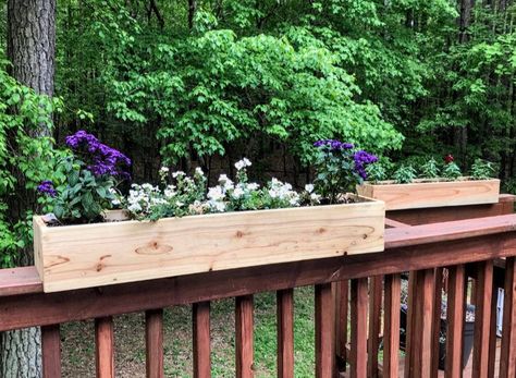 ★★★★★ ✅ No assembly ✅ Quick Shipping ✅ Fits Snug on railing ✅ Well made & as described 10/10 Recommend." Chelsea M. #railtopplanter #railingplanters #flowerboxes https://etsy.me/3Eo1Gw5 Cedar Railing, Railing Planter Boxes, Deck Planter Boxes, Ladder Planter, Deck Railing Planters, Rustic Wood Box, Balcony Planters, Vegetable Boxes, Vegetable Planters