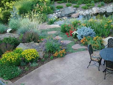 3 Landscape Design Ideas Inspired by the Denver Botanic Gardens - Lifescape Colorado Colorado Landscaping, Xeriscape Front Yard, Xeriscape Landscaping, Water Wise Landscaping, Denver Botanic Gardens, Gardening Projects, Easy Landscaping, Water Wise, Traditional Landscape