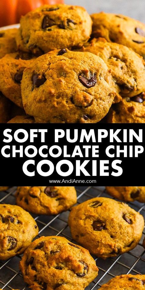 Soft Pumpkin Chocolate Chip Cookies, Gluten Free Pumpkin Cookies, Fall Deserts, Thanksgiving Foods, Pumpkin Treats, Motherhood Tips, Ebook Promotion, Pumpkin Desserts, Fall Snacks