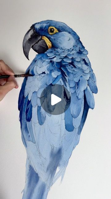 Beautiful Watercolor Paintings Nature, How To Paint A Bird, Beautiful Birds Drawing, Unique Watercolor Paintings Ideas, Aquarelle Painting Tutorial, Watercolor Animals Tutorial, Watercolor Macaw, Water Colour Birds, Watercolor Birds Easy