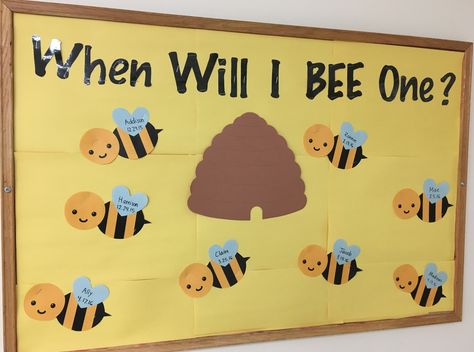 When Will I Bee One Bulletin Board, Infant Classroom Birthday Wall, Birthday Boards Infant Classroom, Childcare Room Themes, Animal Birthday Board Classroom, Birthday Board For Infant Classroom, Birthday Walls For Daycare, Bumble Bee Birthday Board Classroom, Birthday Board For Infants