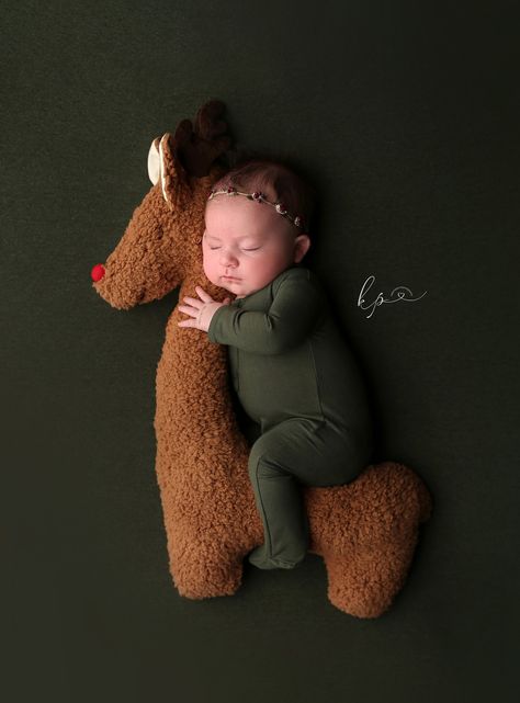 Reindeer Photography, Christmas Newborn Photography, Photoshoot Christmas, Xmas Pictures, Christmas Picture, Newborn Christmas, Newborn Baby Photos, Newborn Photoshoot, Christmas Pictures