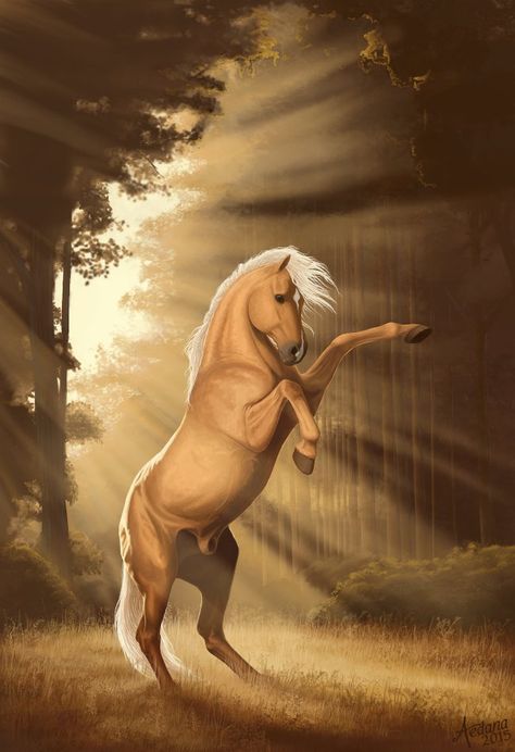 In the Meadow by Aedana.deviantart.com on @DeviantArt Palomino Horse Drawing, Geralt Fanart, Step By Step Animation, Horse Illustration Art, Palomino Stallion, Equine Art Paintings, Thing To Paint, Horse Animation, Equine Artwork