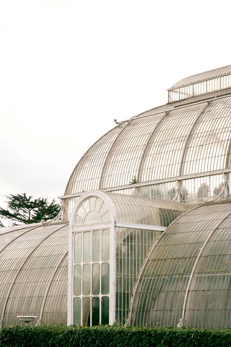 Kew Gardens Botanicals Veronica Lane Photography Kew Botanical Gardens, Kew Gardens Greenhouse, Kew Gardens Aesthetic, Botanical Linocut, Ss Daley, Dahl House, Sea Creatures Crafts, Kew Gardens Wedding, Life Style Photography