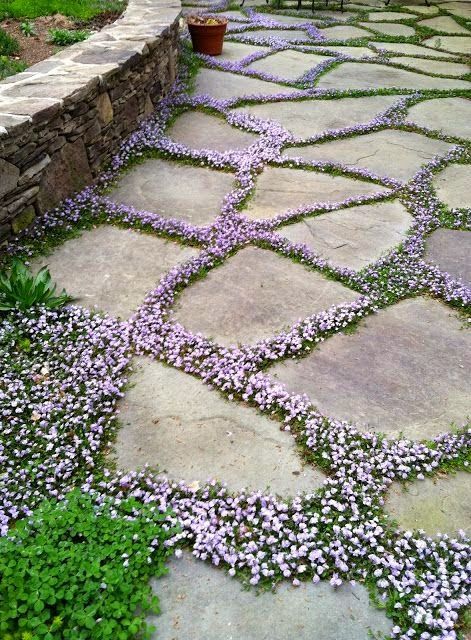 Cottage Front Landscaping, Modern Farmhouse Garden Design, Children’s Garden Ideas, Wild Garden Landscaping, Victorian Garden Landscaping, Lawnless Landscaping, Under Window Landscaping, Simple Patio Ideas, Alchemy Decor